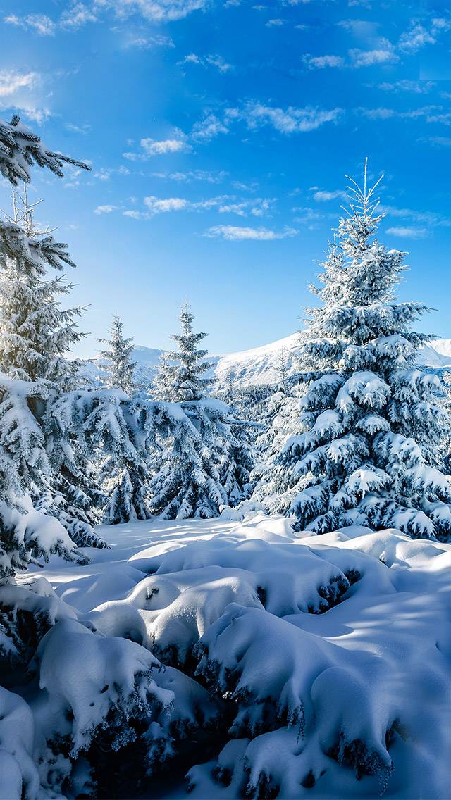 Faith Forecast showing snow weather